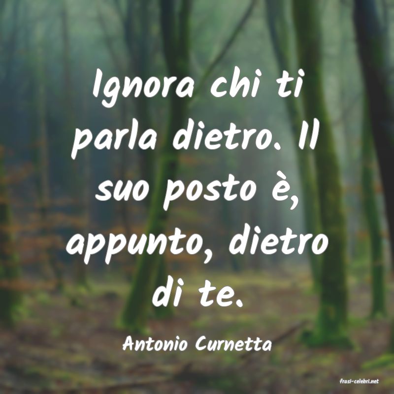 frasi di  Antonio Curnetta
