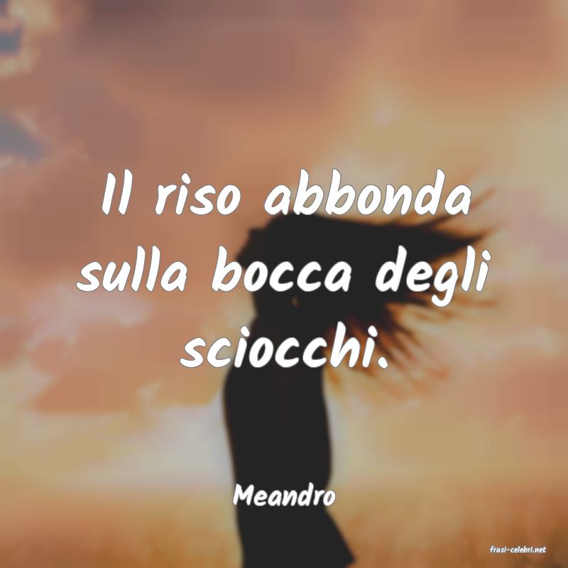 frasi di  Meandro
