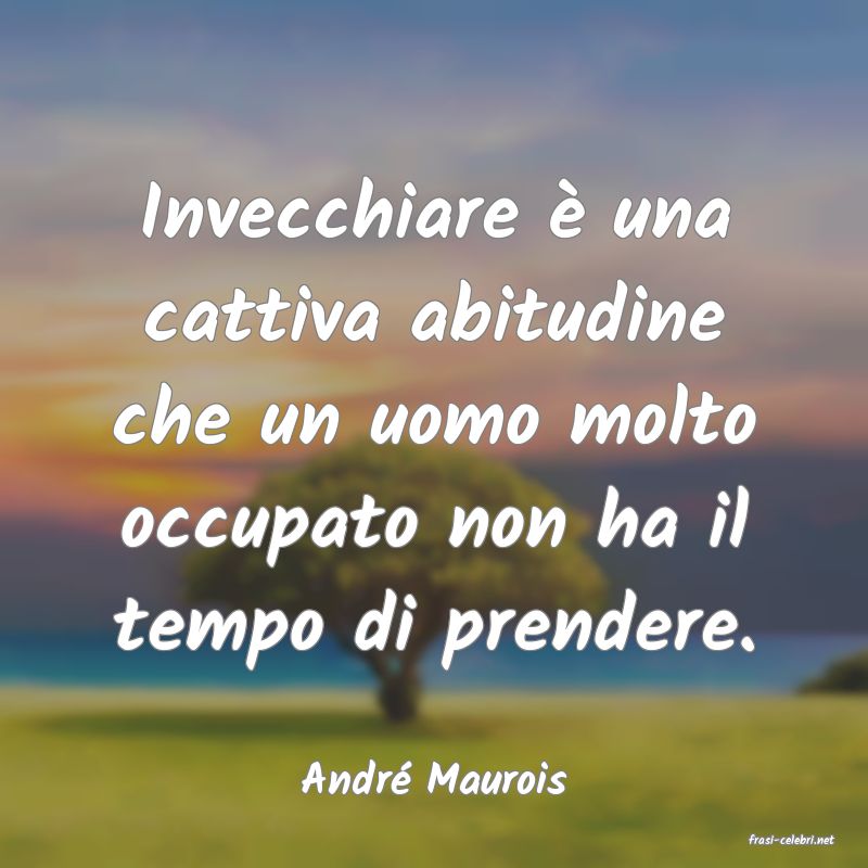 frasi di Andr Maurois