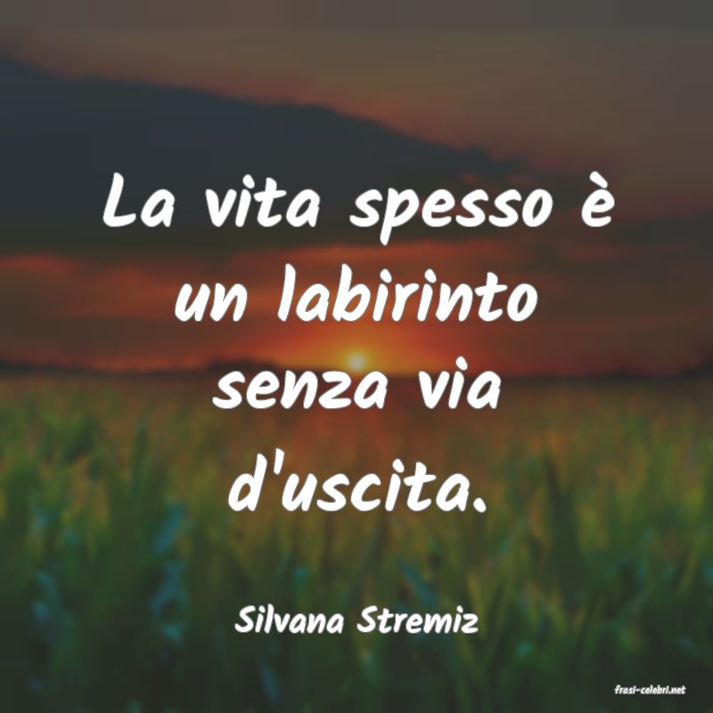 frasi di  Silvana Stremiz
