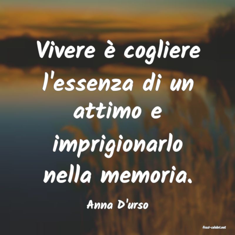 frasi di  Anna D'urso
