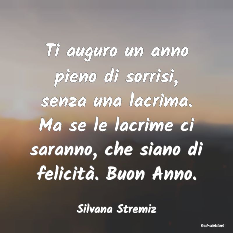 frasi di Silvana Stremiz