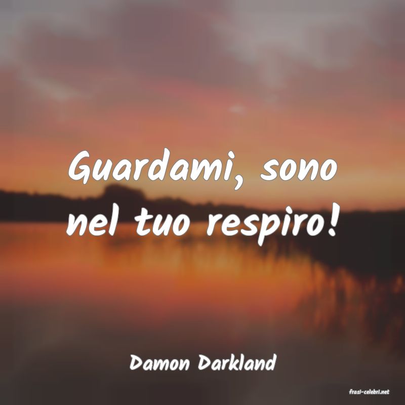 frasi di Damon Darkland