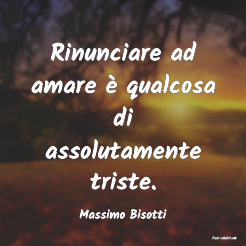 frasi di  Massimo Bisotti

