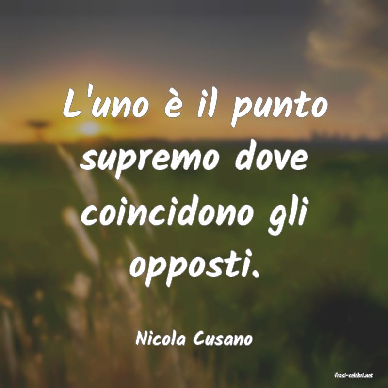 frasi di  Nicola Cusano
