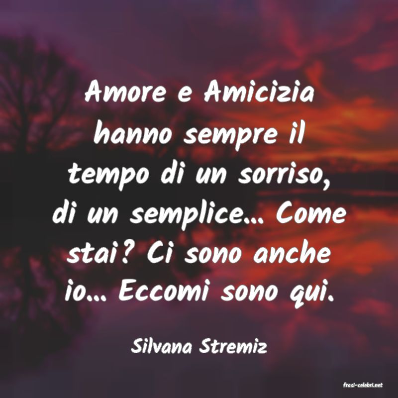 frasi di  Silvana Stremiz
