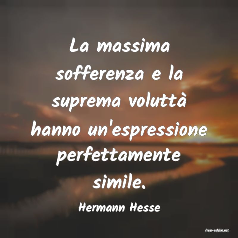 frasi di  Hermann Hesse
