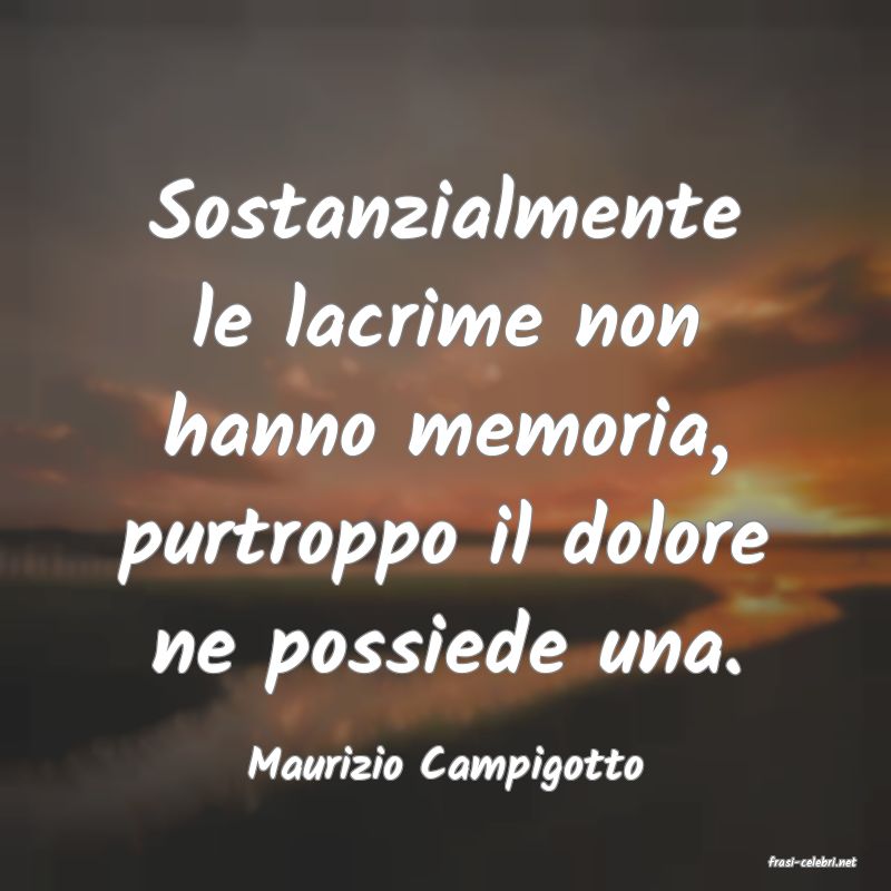 frasi di  Maurizio Campigotto
