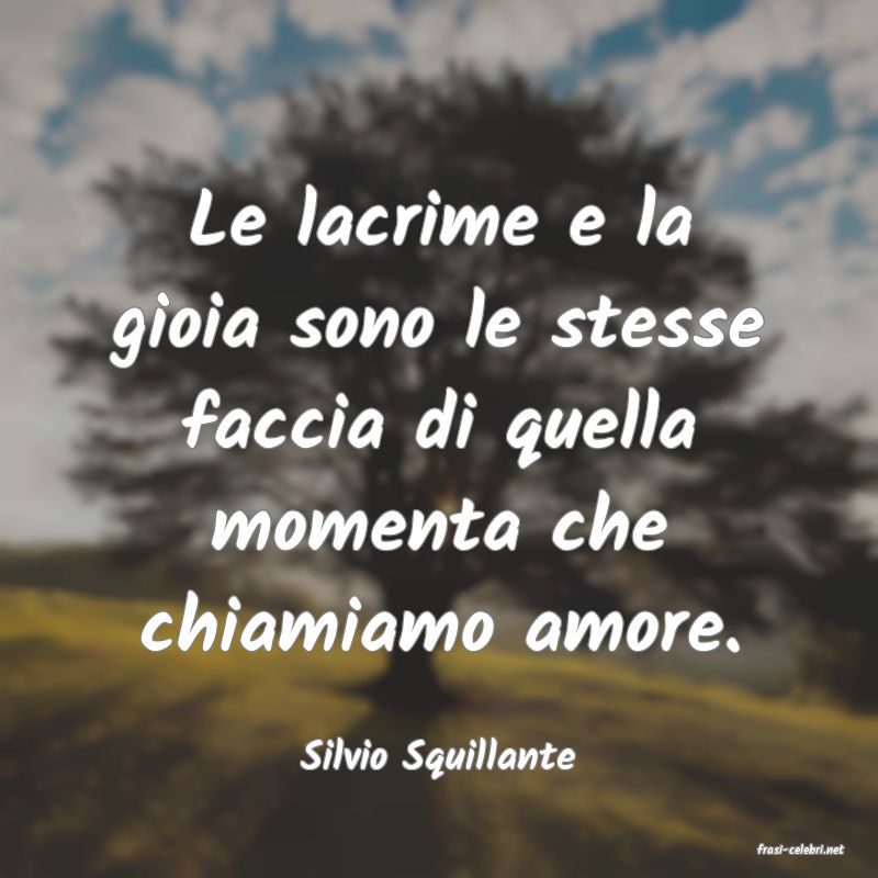 frasi di  Silvio Squillante
