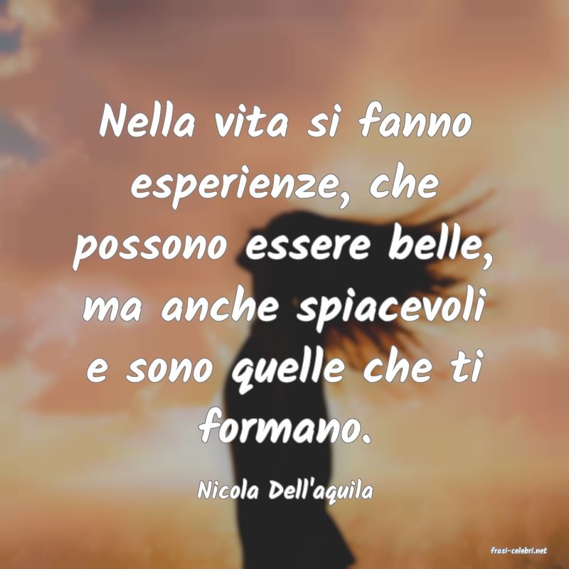 frasi di  Nicola Dell'aquila
