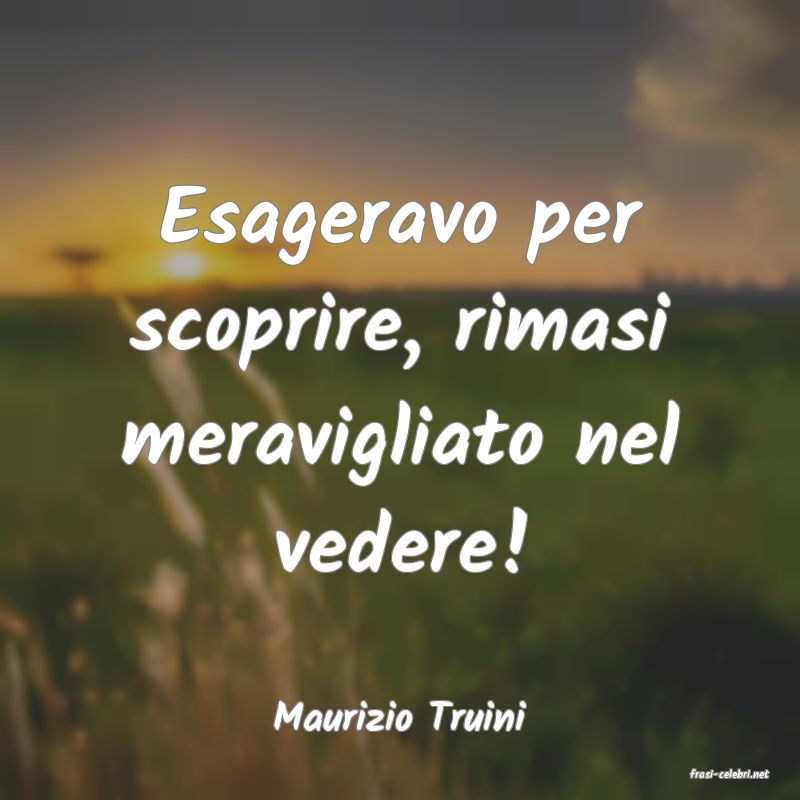 frasi di Maurizio Truini
