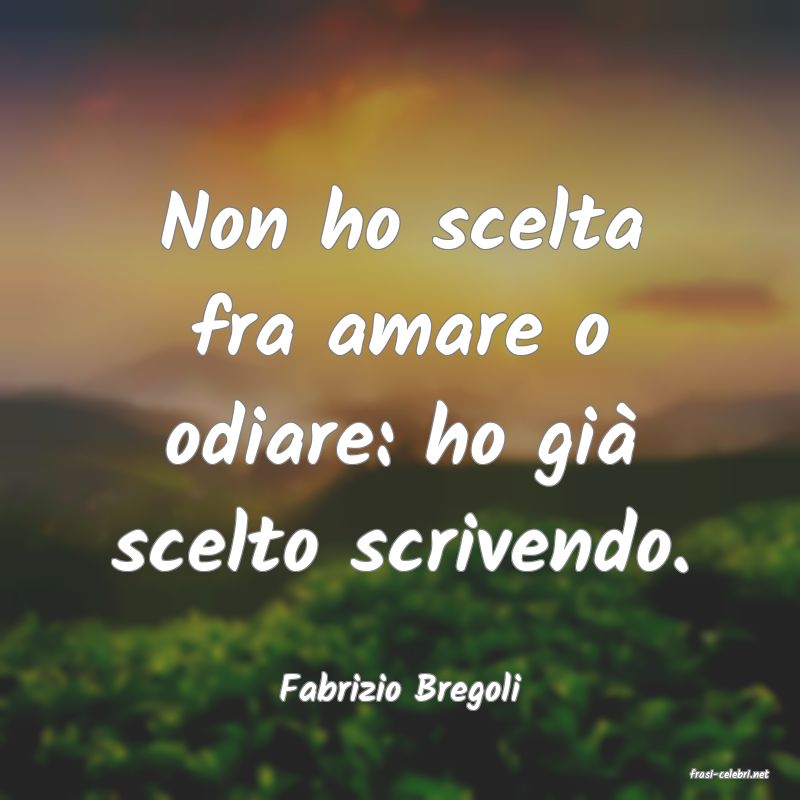 frasi di  Fabrizio Bregoli
