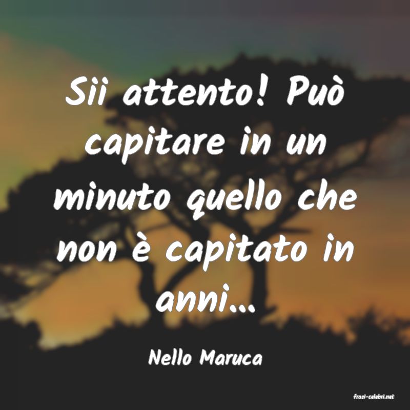 frasi di  Nello Maruca

