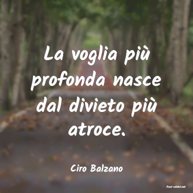 frasi di  Ciro Balzano
