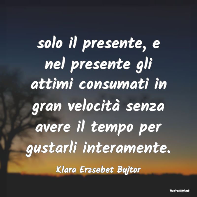 frasi di  Klara Erzsebet Bujtor
