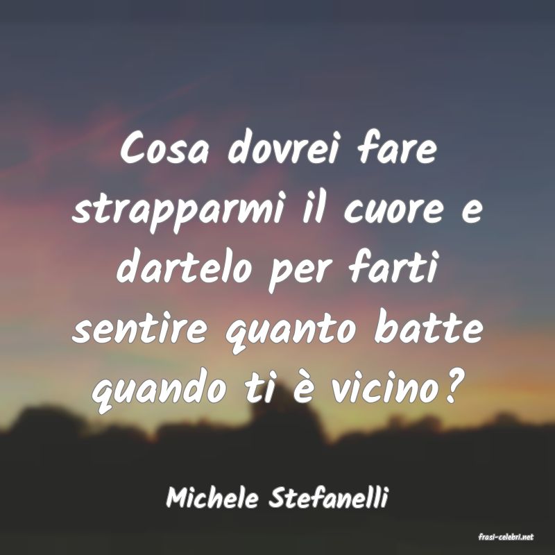 frasi di Michele Stefanelli
