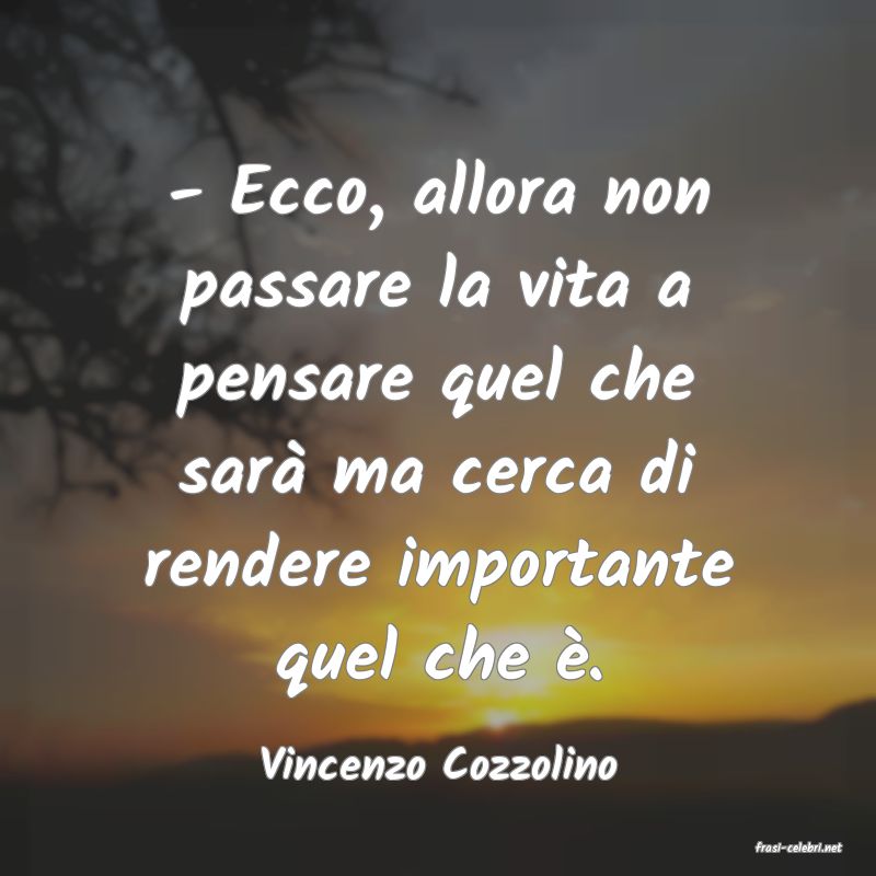 frasi di  Vincenzo Cozzolino
