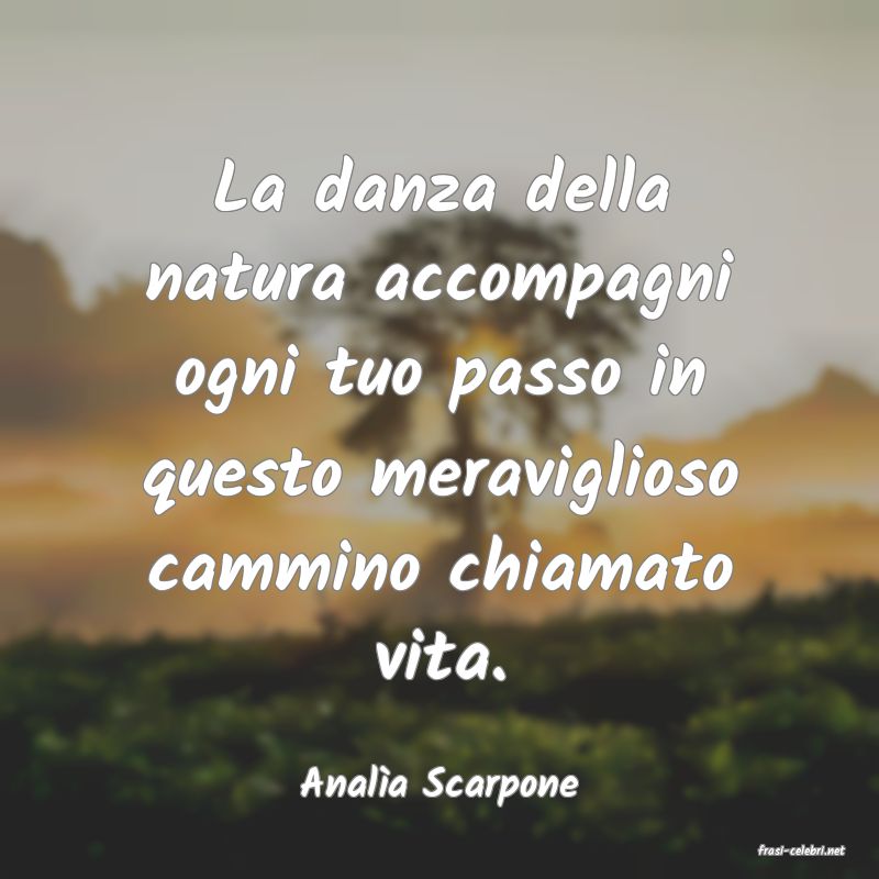 frasi di Anal�a Scarpone