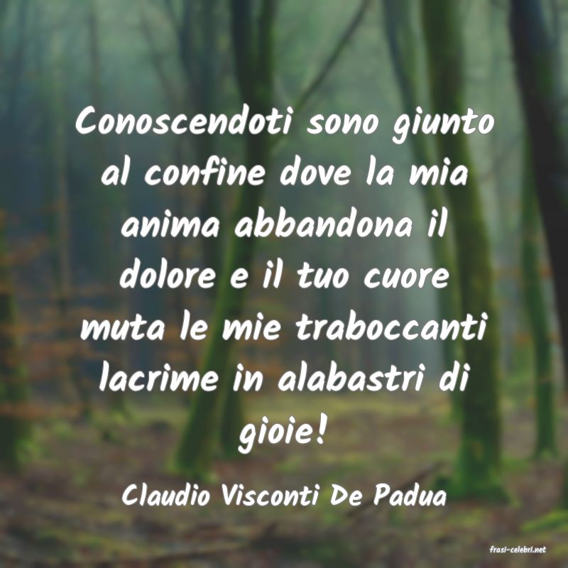 frasi di  Claudio Visconti De Padua
