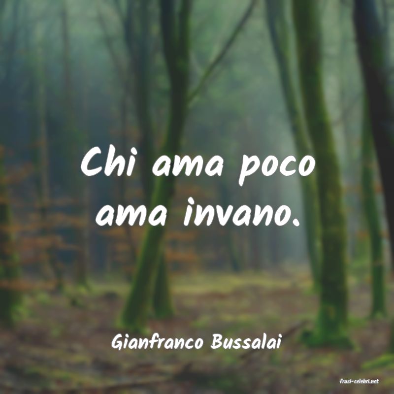 frasi di  Gianfranco Bussalai
