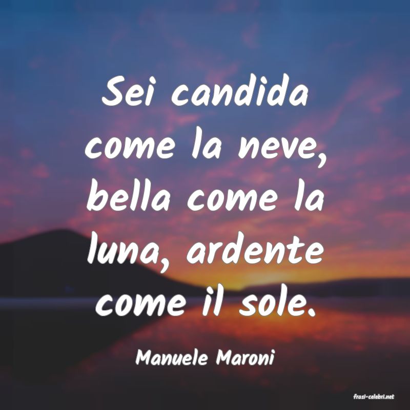 frasi di  Manuele Maroni
