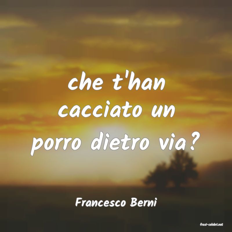 frasi di  Francesco Berni
