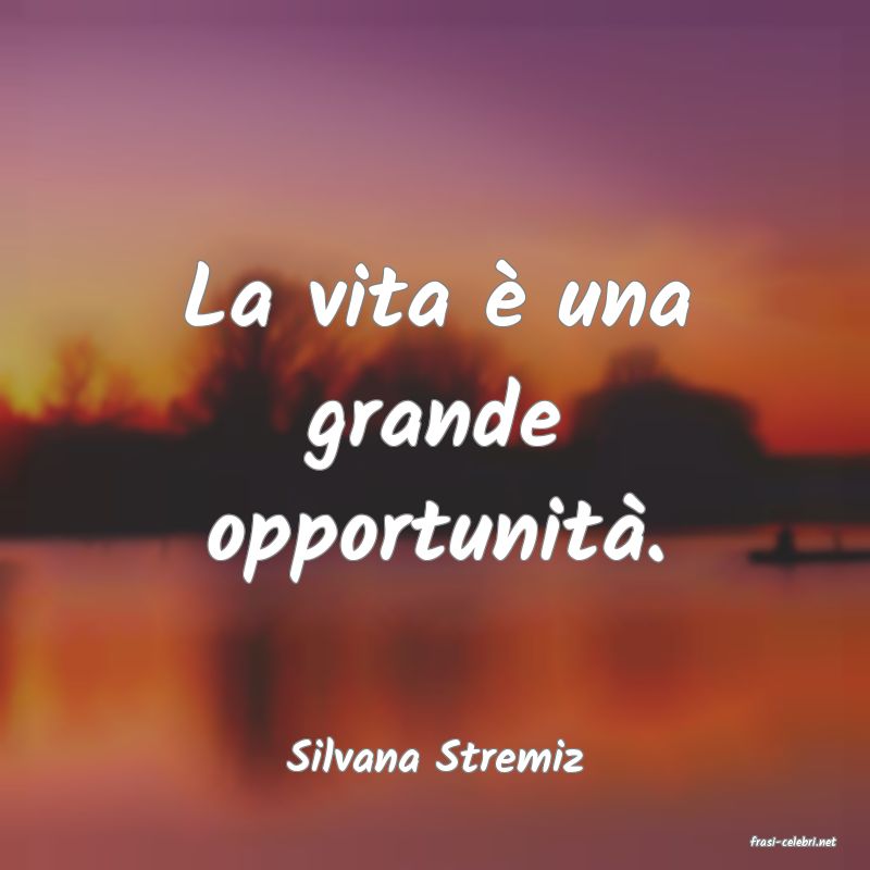 frasi di  Silvana Stremiz
