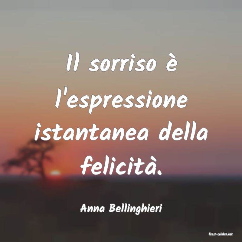 frasi di  Anna Bellinghieri
