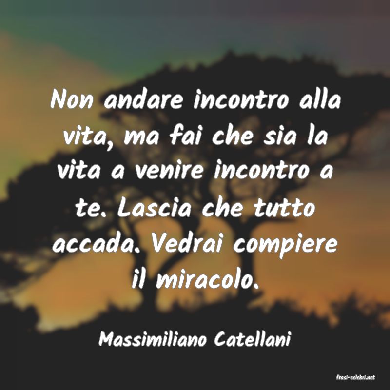 frasi di  Massimiliano Catellani
