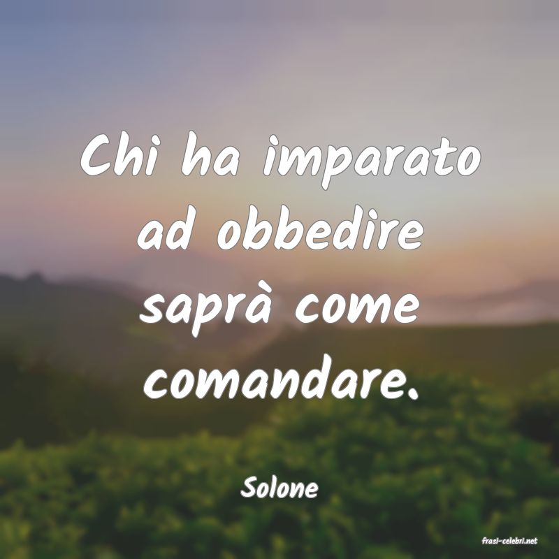 frasi di  Solone
