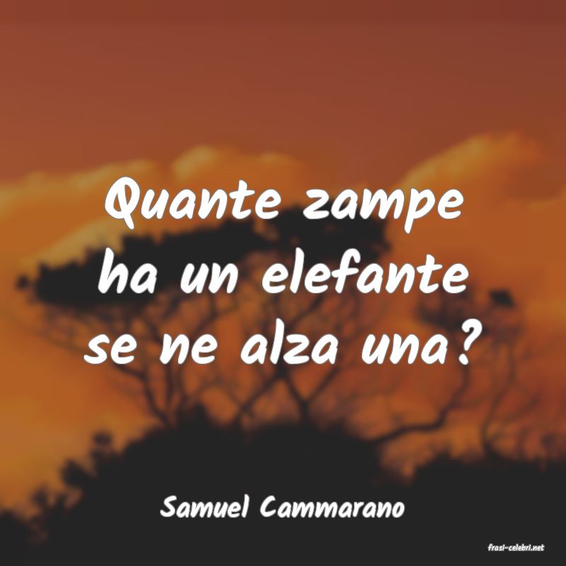 frasi di Samuel Cammarano