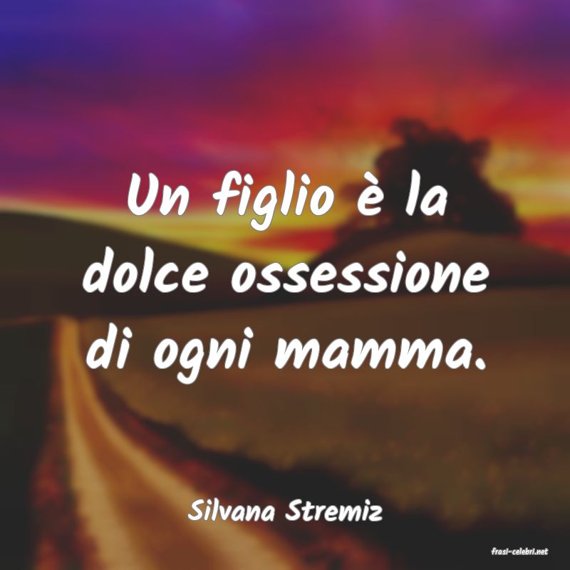 frasi di Silvana Stremiz