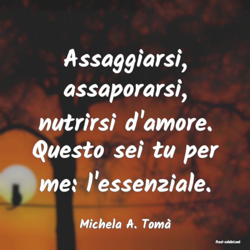 frasi di Michela A. Tom�