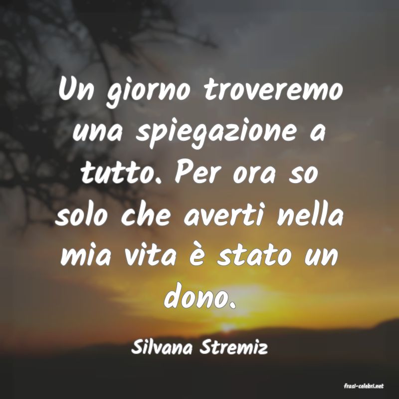 frasi di  Silvana Stremiz
