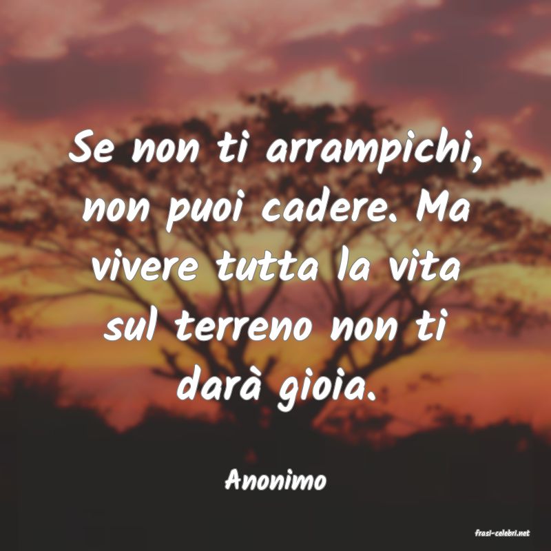 frasi di  Anonimo
