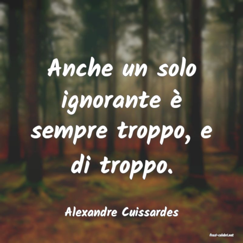 frasi di  Alexandre Cuissardes
