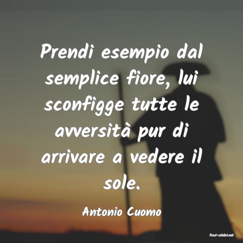 frasi di  Antonio Cuomo
