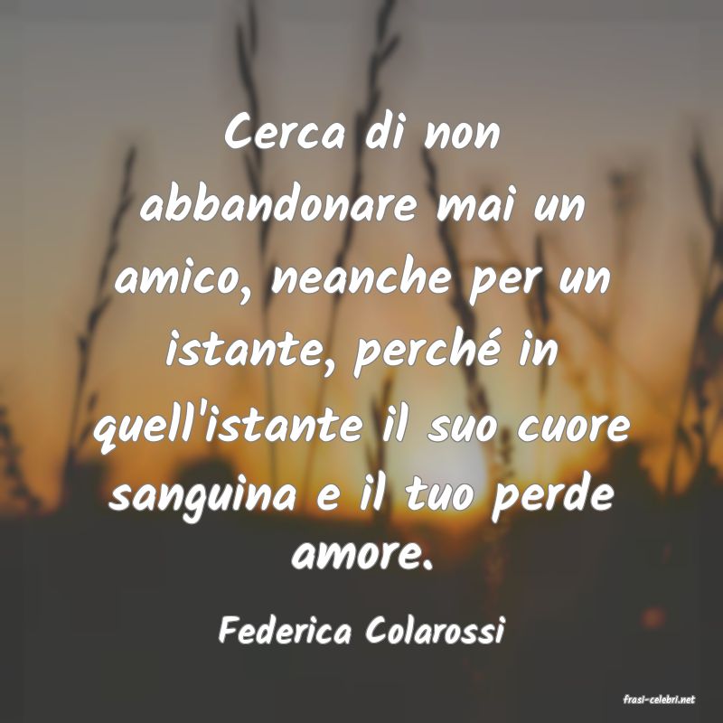 frasi di  Federica Colarossi
