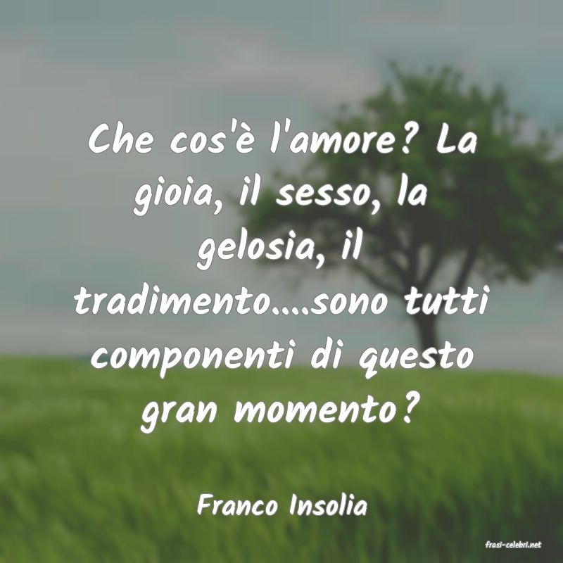 frasi di Franco Insolia