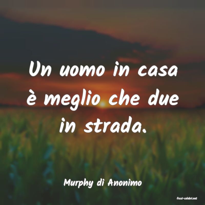 frasi di Murphy di Anonimo
