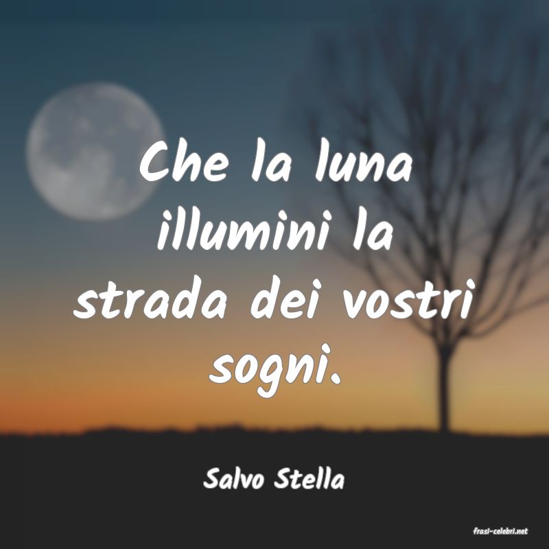 frasi di  Salvo Stella

