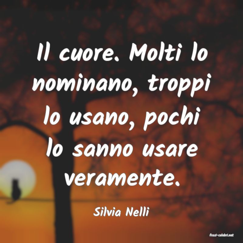 frasi di  Silvia Nelli
