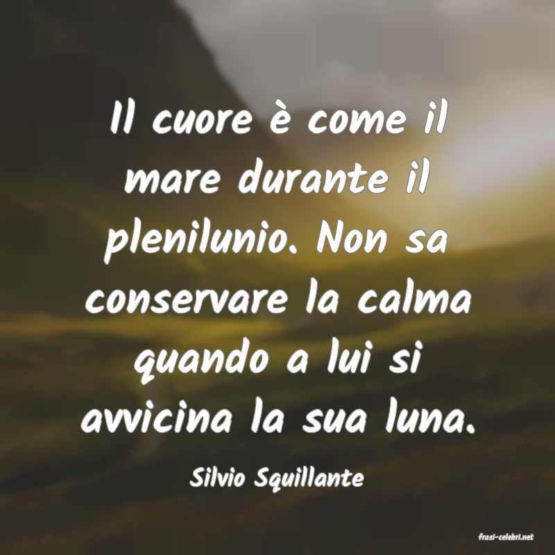 frasi di  Silvio Squillante
