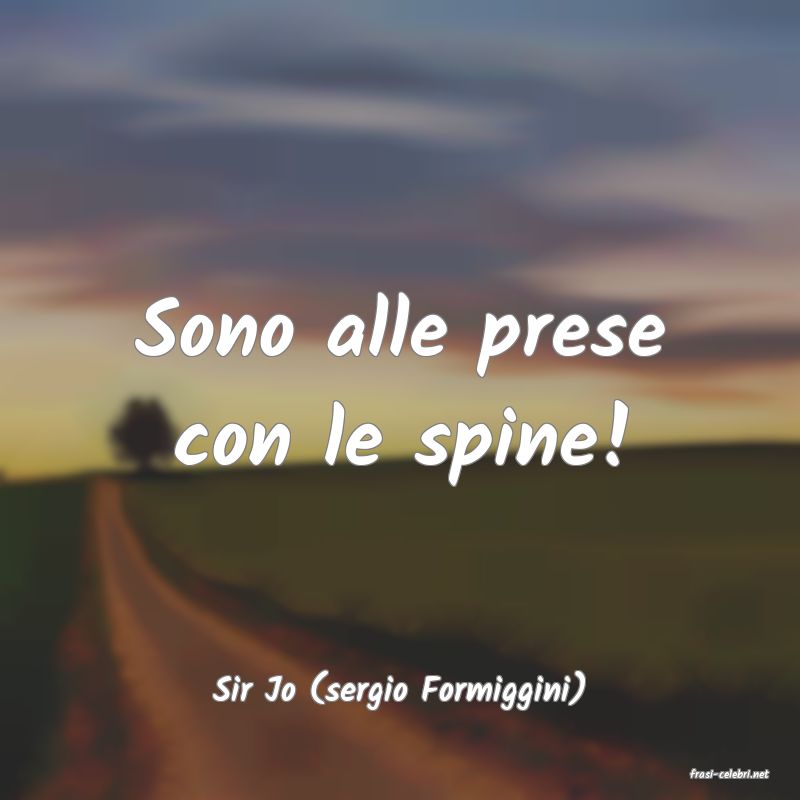 frasi di  Sir Jo (sergio Formiggini)
