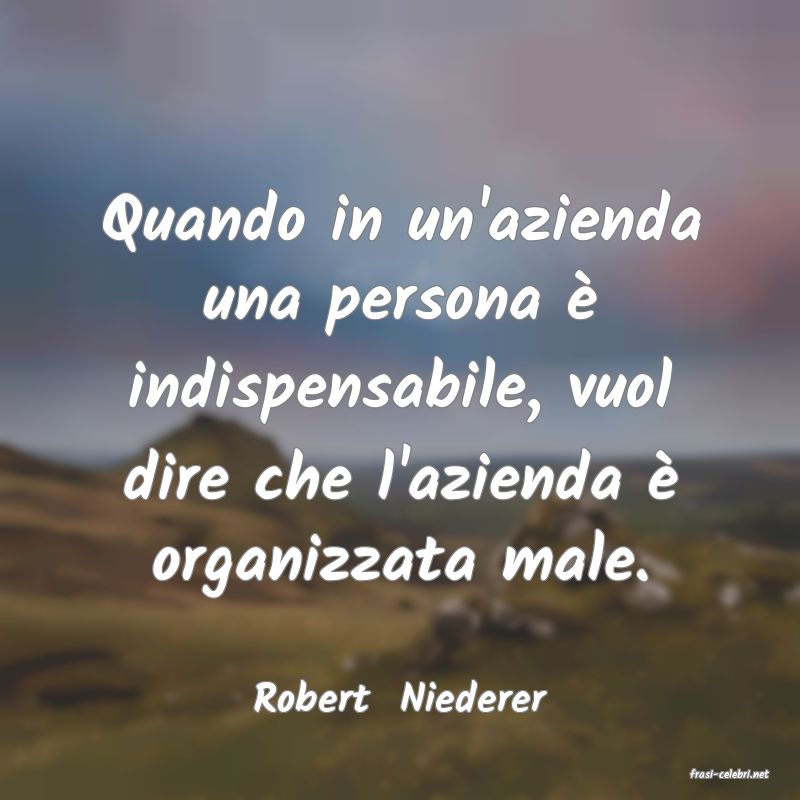 frasi di  Robert  Niederer
