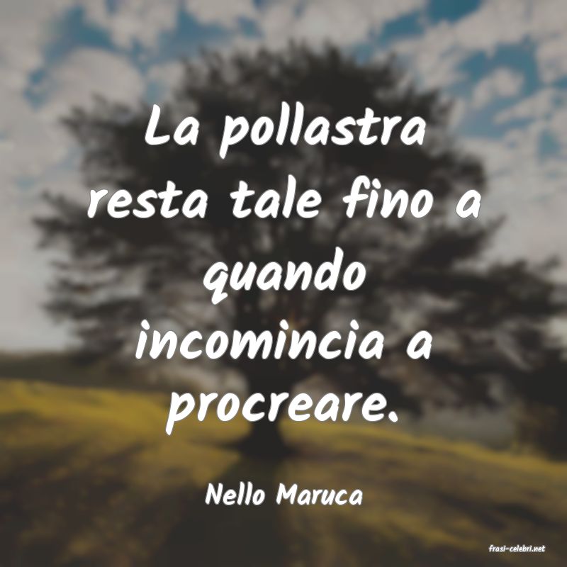 frasi di  Nello Maruca
