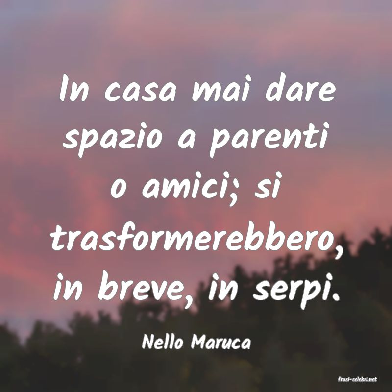 frasi di  Nello Maruca
