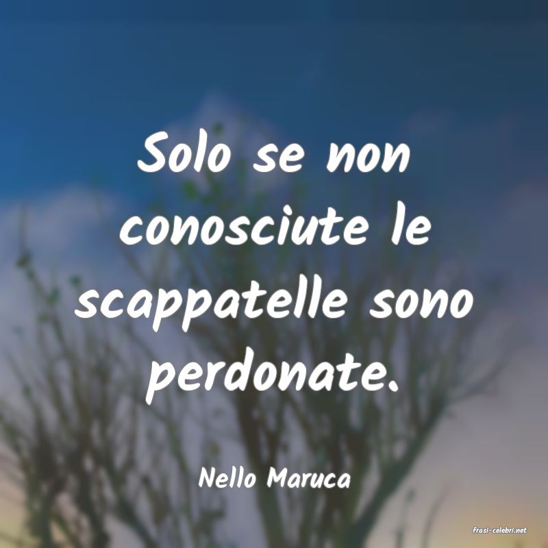 frasi di  Nello Maruca

