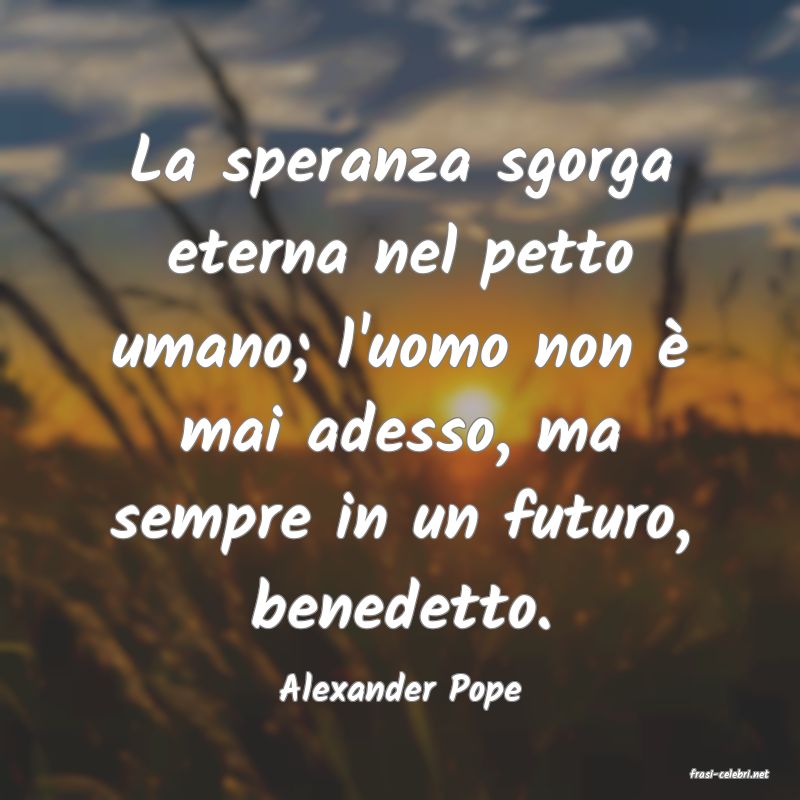 frasi di  Alexander Pope
