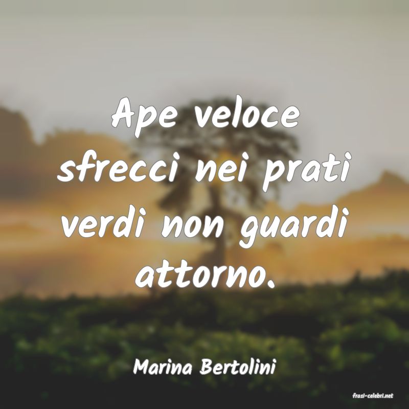 frasi di Marina Bertolini